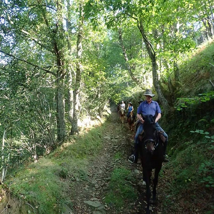 Rutas a caballo en la Sierra de Guadarrama