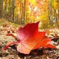 Escapadas de Otoño