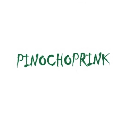 Pinochoprink - Papeleria Librería