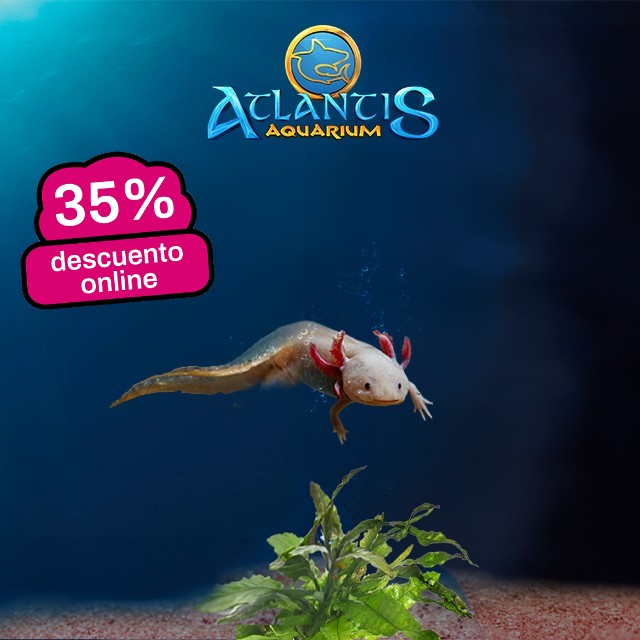 Atlantis Aquarium Madrid