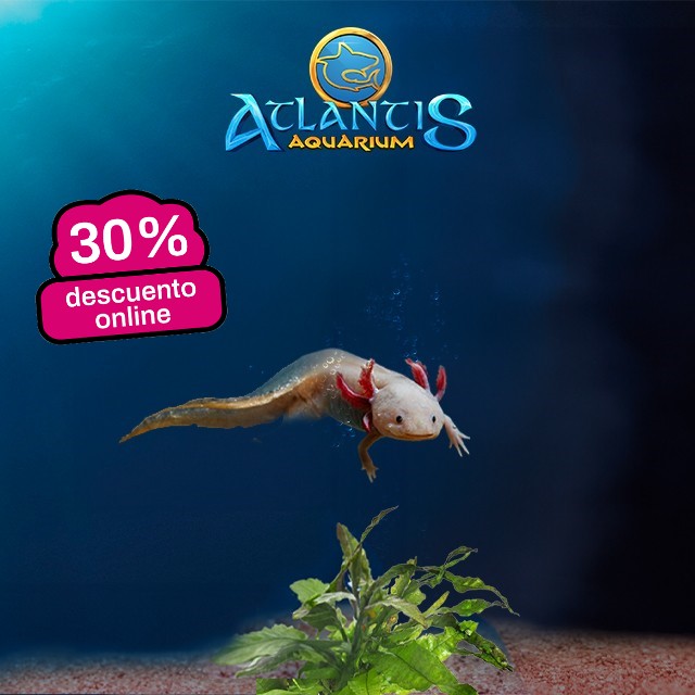 Atlantis Aquarium Madrid