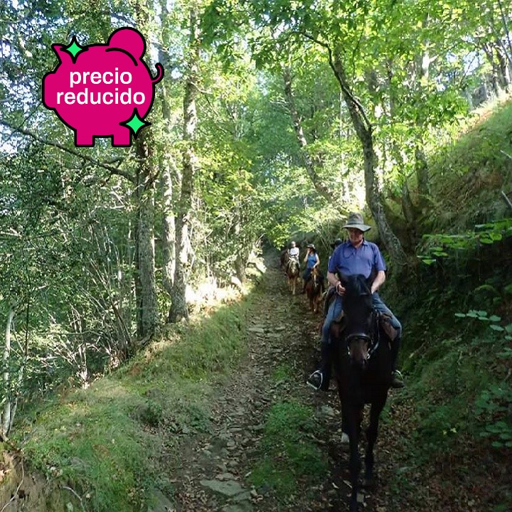 Rutas a caballo en la Sierra de Guadarrama