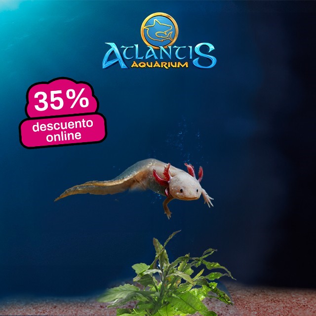 Atlantis