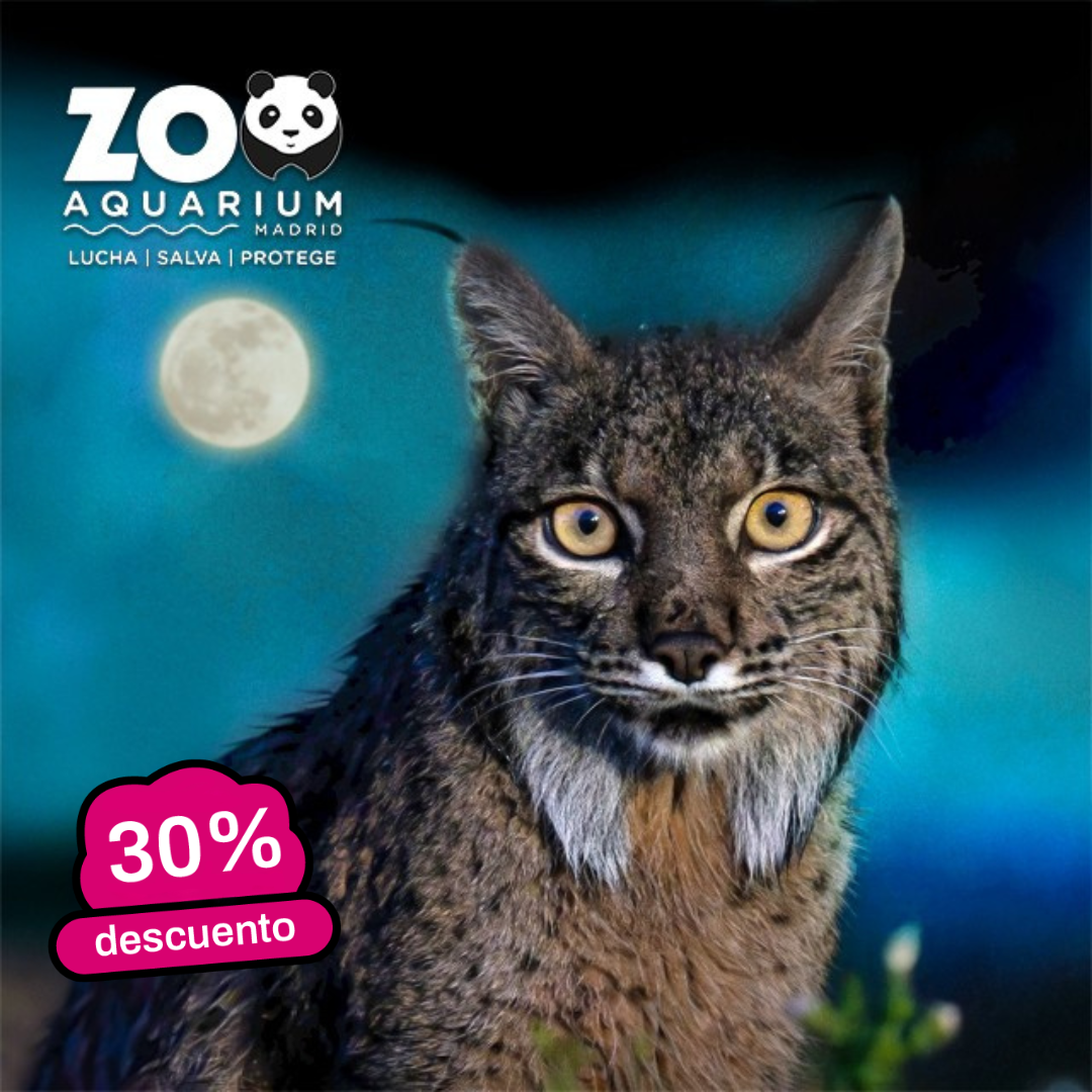 ZOO Madrid