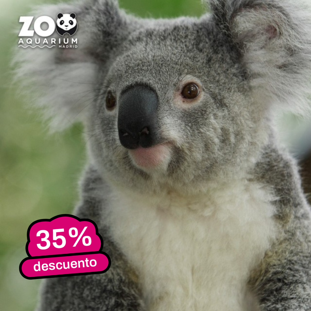 ZOO