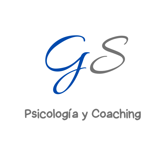 gs logo