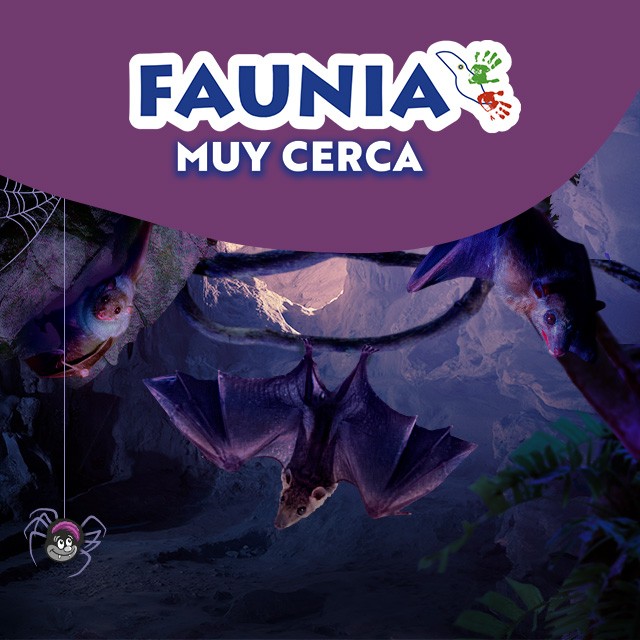 FAUNIA